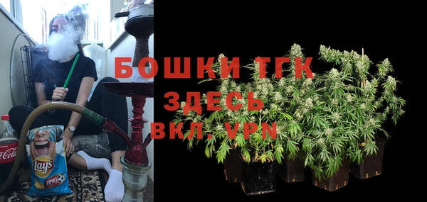 дживик Михайловск